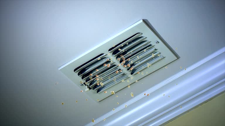 Best Air Duct Cleaning Near Me  in Springfield, OR